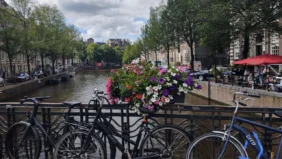amsterdam the city of tulips and dancing houses along the canal belt flowers bridge bicycles {{brizy_dc_image_alt imageSrc=