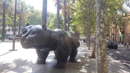 barcelona el raval cat barrio barri neighbourhood neighborhood