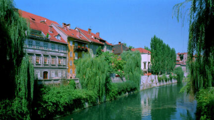 ljubljana where nature meets the soul of a city green river side view