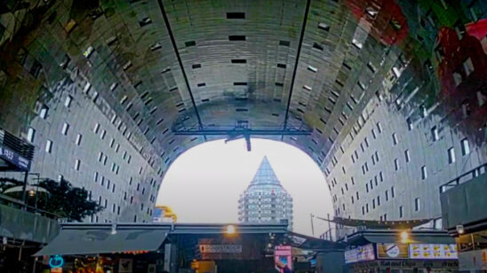rotterdam erasmus in the manhattan at the meuse market hall markthal blaak